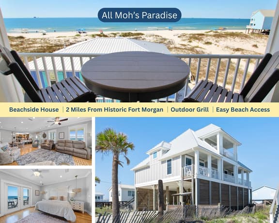 All-Moh's-Paradise - Image 1