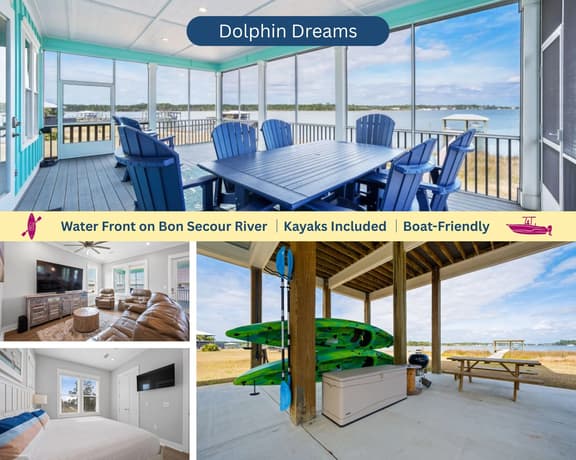 Dolphin Dreams - Image 1