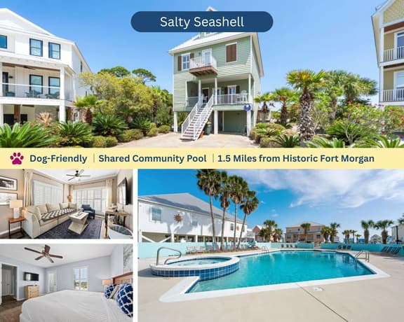 Salty Seashell - Image 1